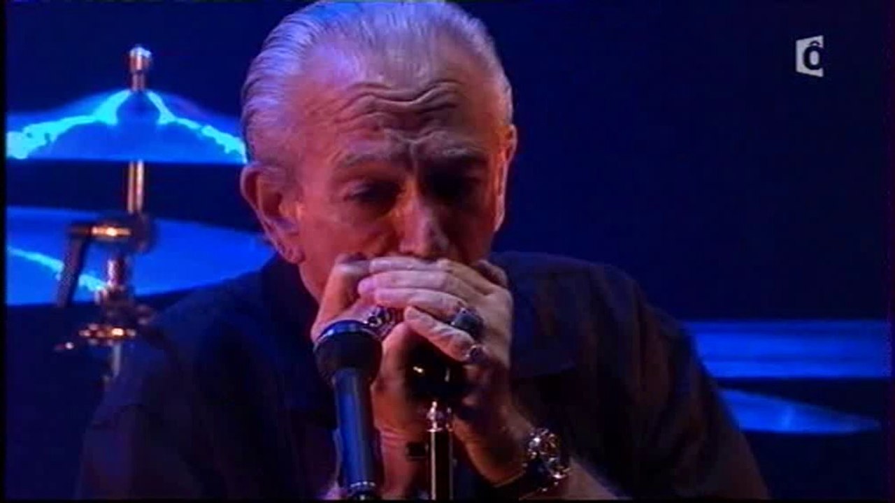 Ben Harper & Charlie Musselwhite - Jazz à Vienne 2013 (part 2)