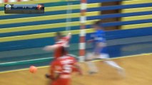 FACHES THUMESNIL VS NANTES BELA FUTSAL - 6ème Journée Championnat de France Futsal