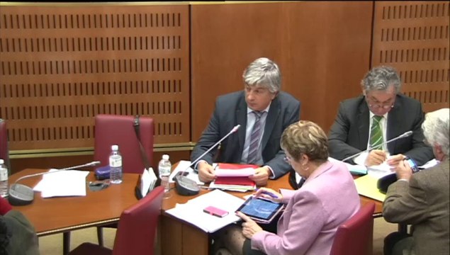 Intervention d'Hervé Féron en Commission des Affaires Culturelles et de l'Education : présentation des rapports pour avis sur les crédits de la mission Médias, livre et industries culturelles