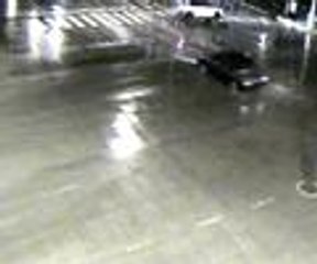 Köpeğin fareyle oyunu