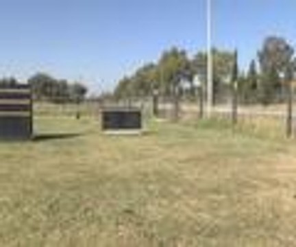 Lütfen rüşvet teklif etmeyin