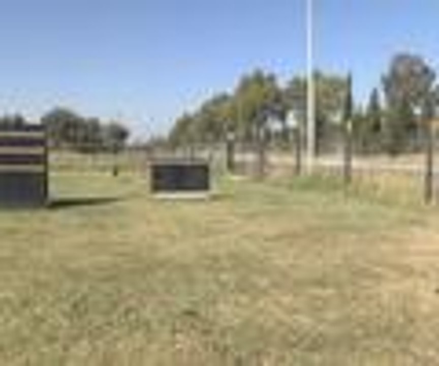 Lütfen rüşvet teklif etmeyin