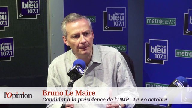 UMP : Sarkozy le favori, Le Maire l'outsider