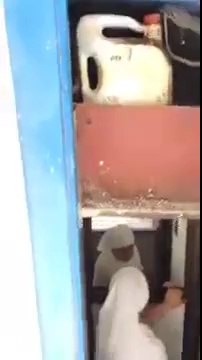 Survivor Taner'in Eve Temizleğe Gelen Teyzeye Eziyet Etmesi