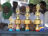 Bull race competition in Sargodha-Geo Reports-22 Oct 2014
