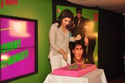 On her Birthday Parineeti wishes to be in love