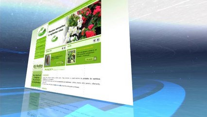 GILHOBBY poules pondeuses Eghezée