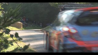 Rallye de France 2014 by Rallyeshots [WRC]