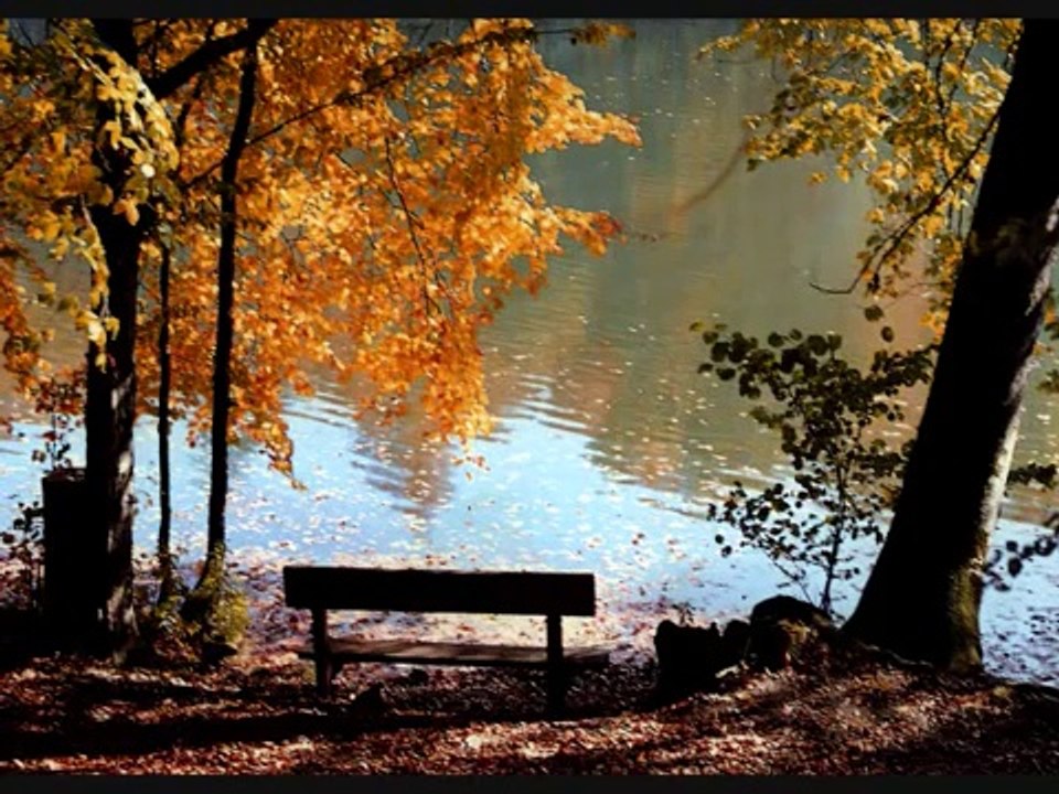 Seni Seviyorum - Son Bir Saat