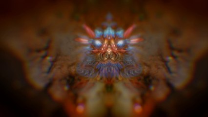 Far Cry 4 - Réveille ton instinct