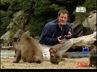 Be The Creature 22nd October 2014 Video Watch Online pt3