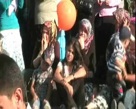 Aşık gülabi sefil baykuş