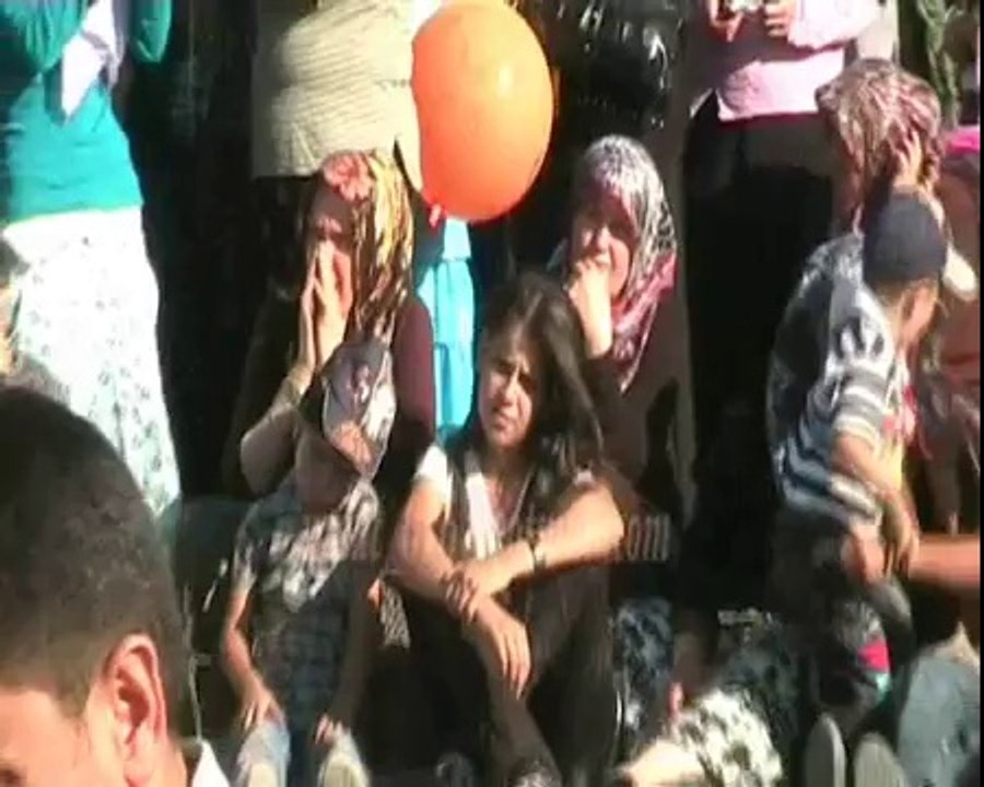 Aşık gülabi sefil baykuş