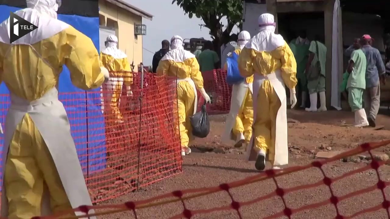 Un test élaboré en France permet de dépister le virus Ebola