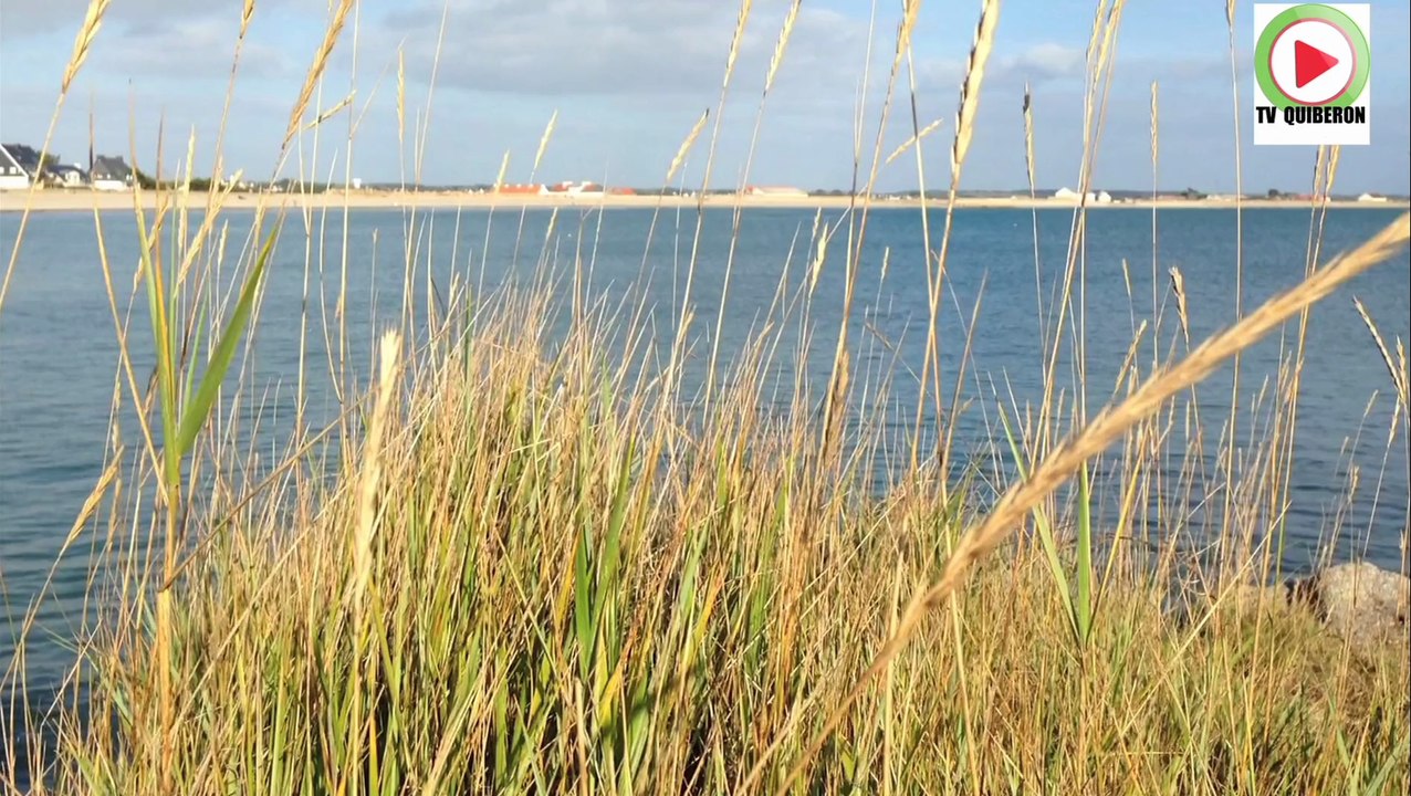Gavres    |  Soleil automne et marée haute - Lorient TV