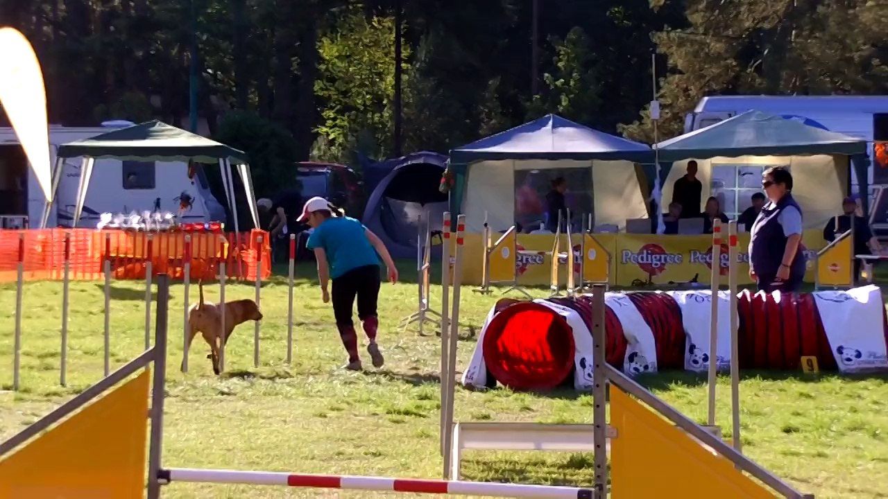 Agility Kamenny Mlyn Kiara 01