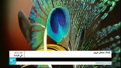 24 ساعة في فرنسا - فرنسا.. مجوهرات من نوع خاص!!