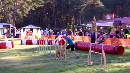 Agility Kamenny Mlyn Kiara 03