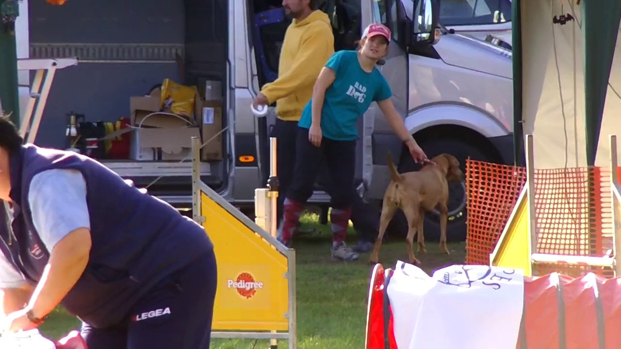 Agility Kamenny Mlyn Sona is waiting 02