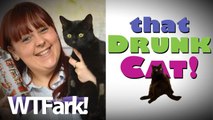 THAT DRUNK CAT: Heartless Monsters Dump Anti-Freeze On Cat. Doctors Save Cat By Getting Him Drunk On Vodka. Anti-Freeze, The New Gateway Drug.