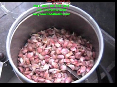 máy bóc vỏ tỏi ướt, máy lột vỏ tỏi, máy tách vỏ củ tỏi