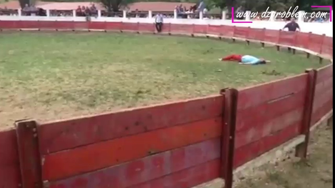 Une vachette met un homme KO