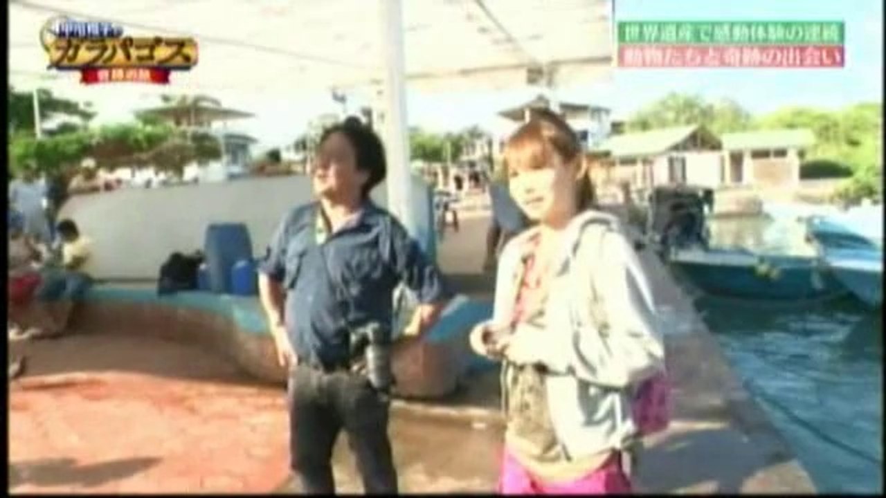 中川翔子 × ガラパゴス