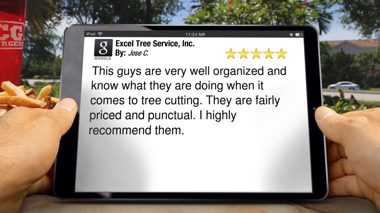 Tree Service Miami Excel Tree Service, Inc. Miami         Superb         Five Star Review by Jose C.