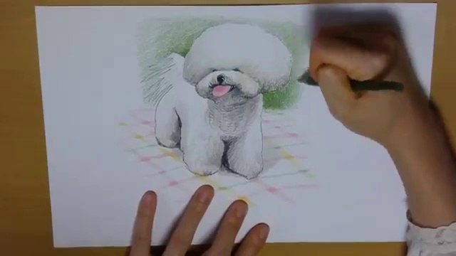 Drawing a Puppy, Bichon Frise, from Scratch with Color Pencils