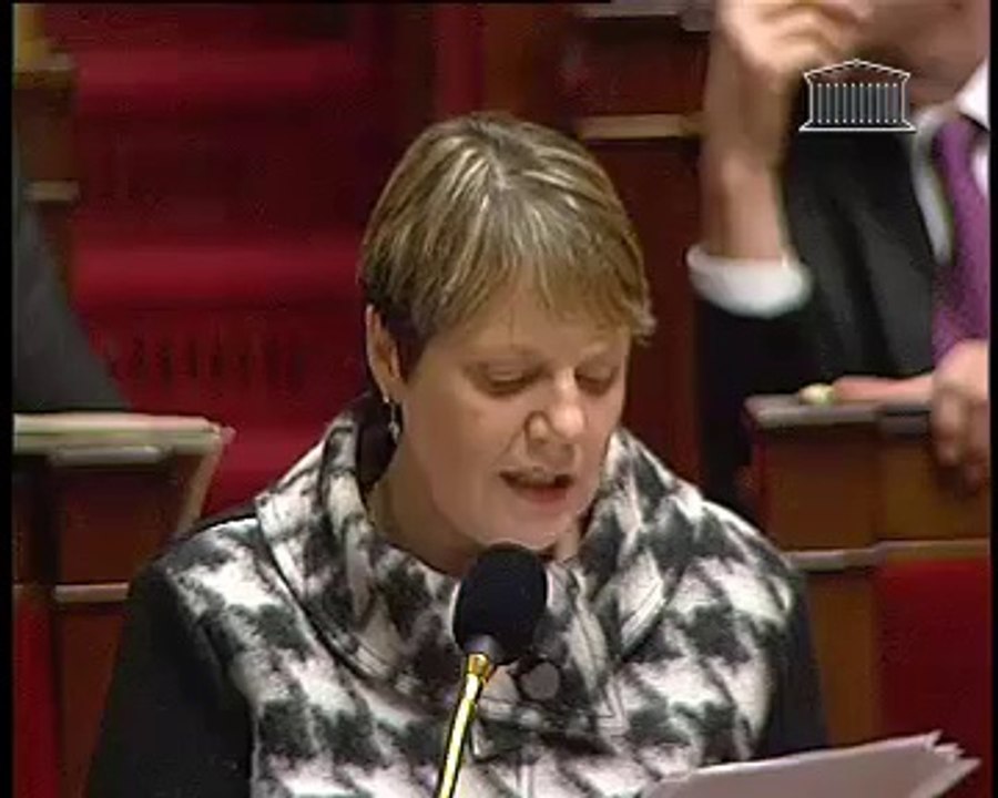 TRAITEMENT DISCRIMINATOIRE DES GENS DU VOYAGE (Vote solennel) - Mardi 1 Février 2011
