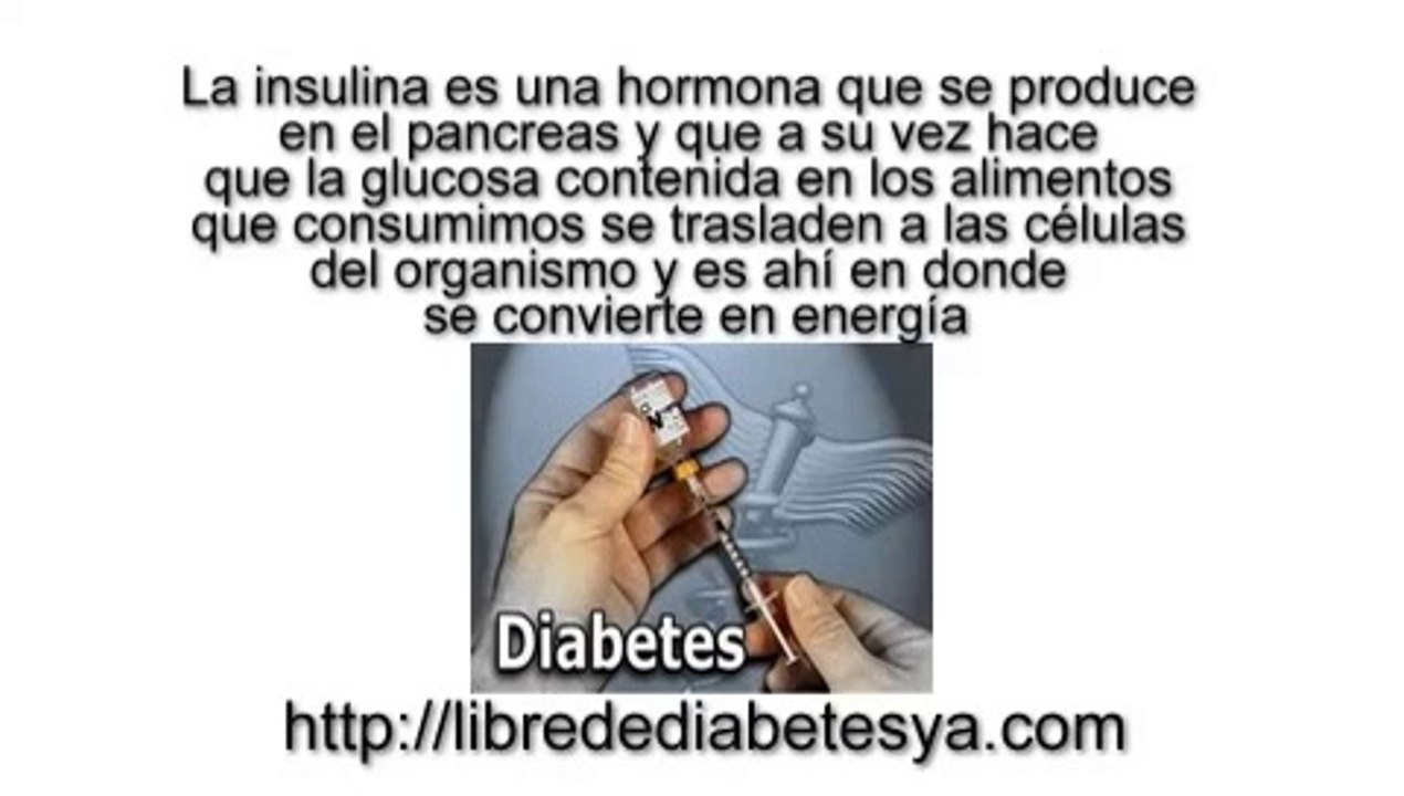 Por qué se produce la diabetes - libre de diabetes