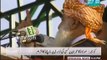 Maulana Fazal-ur-Rehman using Strong Word for PTI Dharna