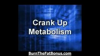 TOP Tom Venuto Burn The Fat Feed The Muscle Book