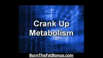 TOP Tom Venuto Burn The Fat Feed The Muscle Book