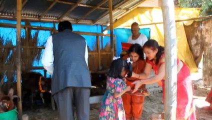 Dcnepal.com - Gai Puga, October 23, 2014