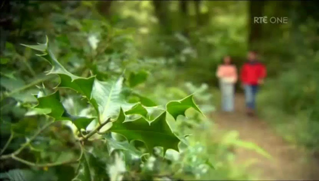 RTE.Secrets.of.the.Irish.Landscape.3of3.PDTV.x264.AAC.MVGroup.org