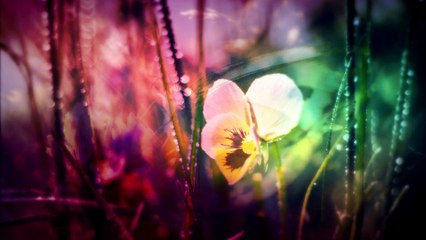 Making Memories Of Us