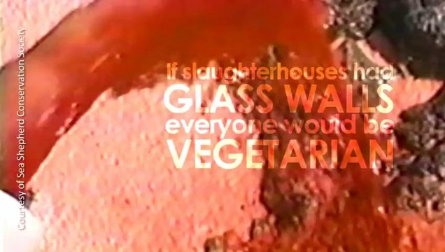 [Vietsub] Exploration of the human body Super Junior - Ep 1