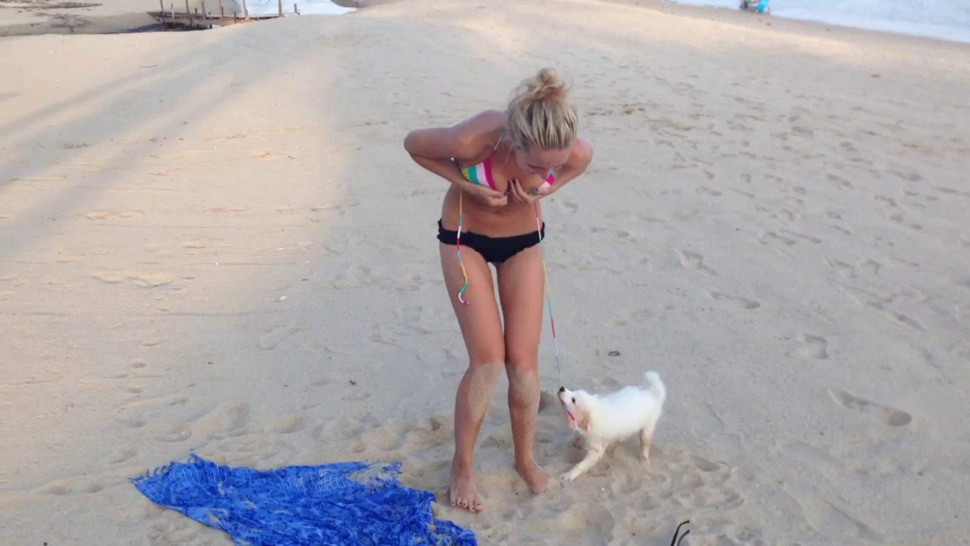 Юмор видео без регистрации. Приколы на пляже. Собака стянула купальник. На пляже девушки пьяные. Девушки по собачьи на пляже.