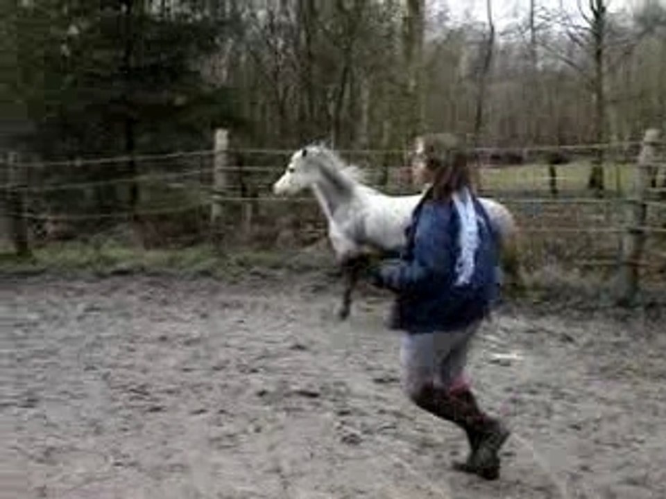 Loops saut