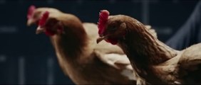 Смешная реклама связаная с курицами. Mersedes 2013 (online-video-cutter.com)