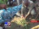 Lion electrocuted on Bhavnagar farm - Tv9 Gujarati