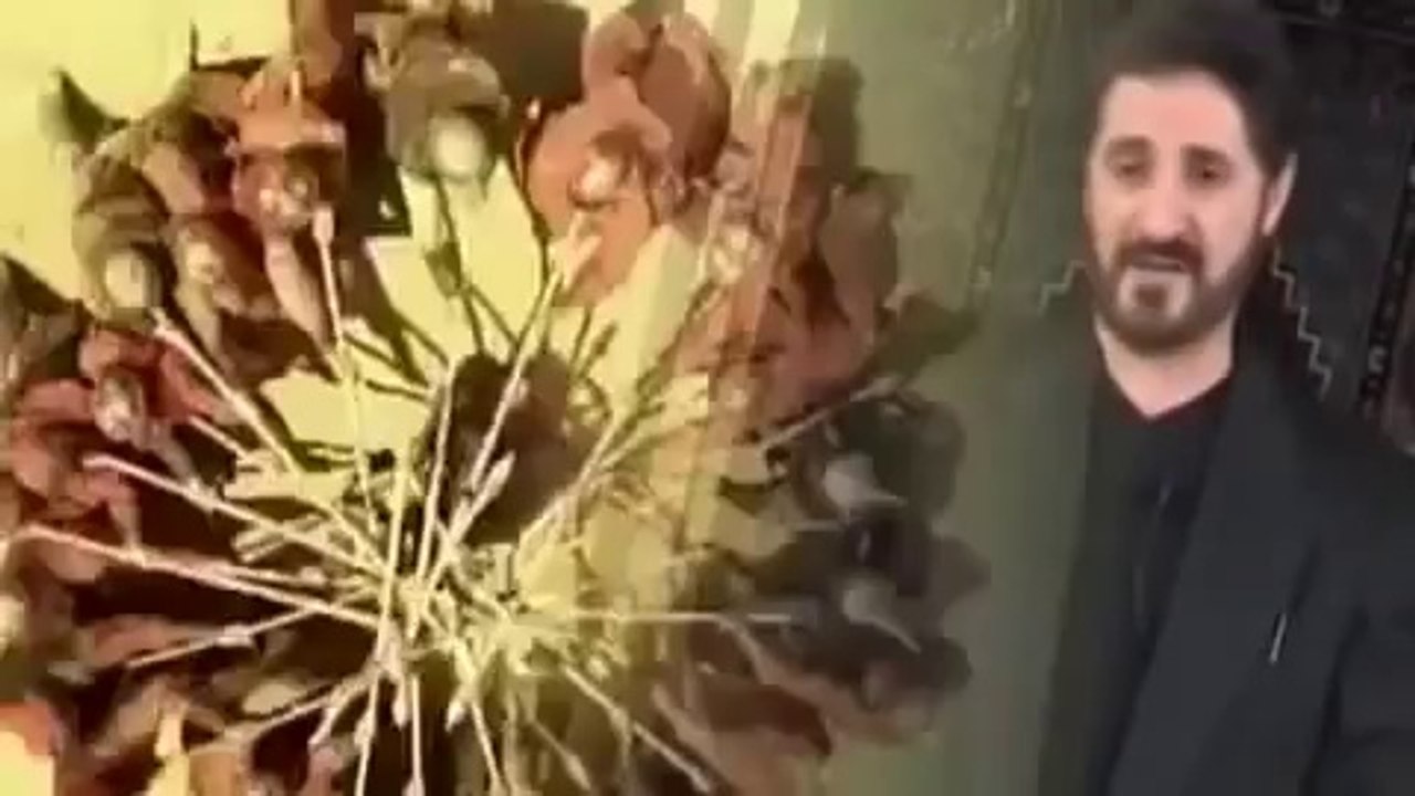 _خروج الحسين عليه السلام عدنان إبراهيم _Adnan Ibrahim ___