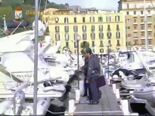 Télécharger la video: Napoli - Frode fiscale, sequestrati beni per 900mila euro a Fabio Cannavaro (22.10.14)