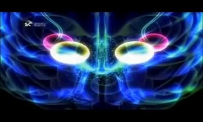 Seks Düşünen Erkeğin Beynindeki Değişim