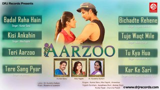 Aarzoo | Jukebox Full Songs | Hindi Romantic Album | Kumar Sanu, Alka Yagnik, Dr. Surekha Suhani