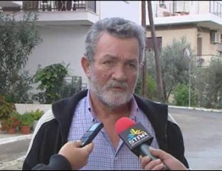 70 γάτες σπέρνουν την απόγνωση σε γειτονιά της Λιβαδειάς