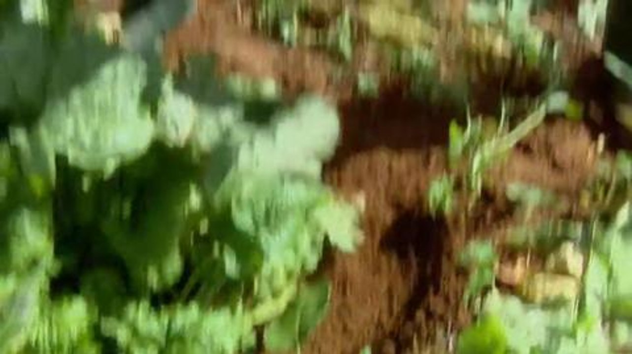 Der Bauer und sein Prinz - Trailer (Deutsch) HD