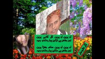 Door Theendo , Lyrics; Gul Koondher. Artist; Altaf Samo