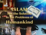 Terrorism and Jihad - An Islamic Perspective by Dr. Zakir Naik